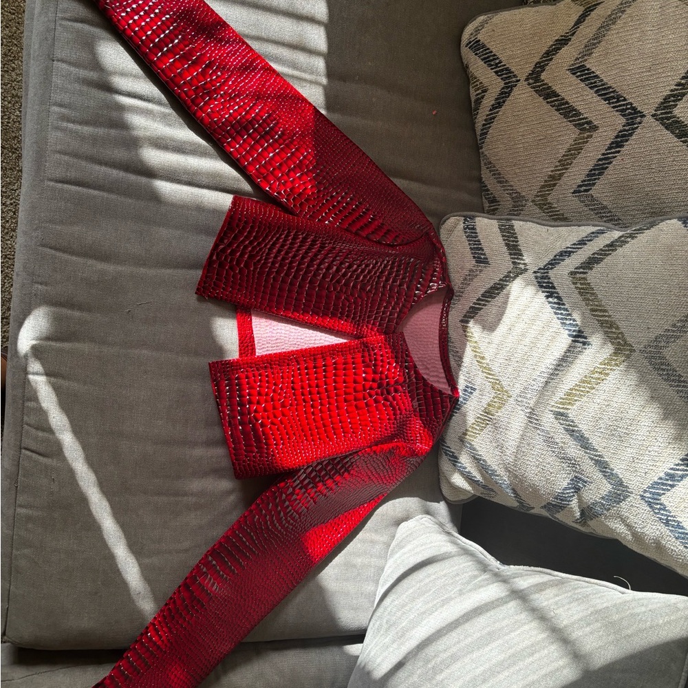 Zara Red Sequin Blazer